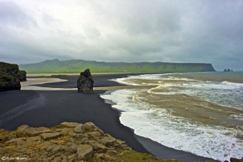 http://www.rickymonti.net/files/gimgs/th-15__DSC4873.jpg